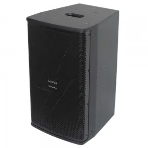 10" / 350W WOOD SPEAKER
